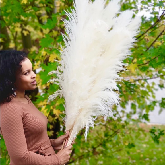 Tall 4 feet pampas grass, white, cream or grey fluffy and beautiful. All natural - Picture 1 of 5